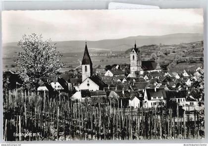 50658328 - Endingen am Kaiserstuhl