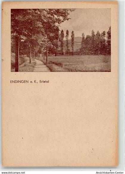 52249729 - Endingen am Kaiserstuhl