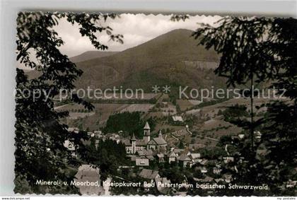 Bad Peterstal-Griesbach Panorama