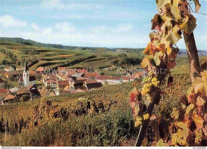 Bickensohl Vogtsburg Kaiserstuhl Weinberge Dorfpanorama Kirche Kaiserstuhl Herbs
