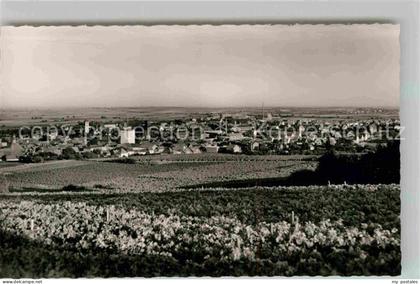 Gruenstadt Panorama