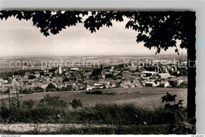 Gruenstadt Panorama