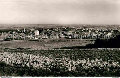 Gruenstadt Panorama