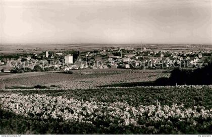 Gruenstadt Panorama