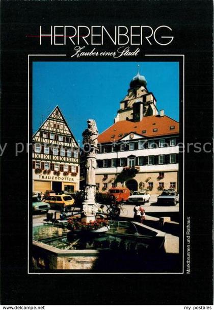Herrenberg Wuerttemberg Marktbrunnen Rathaus