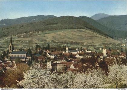 Muellheim Baden Belchenblick
