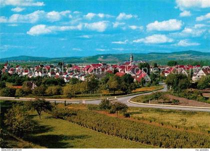 Riegel Kaiserstuhl Panorama