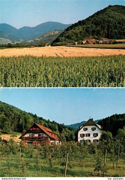 Staufen Breisgau Kropbachhof