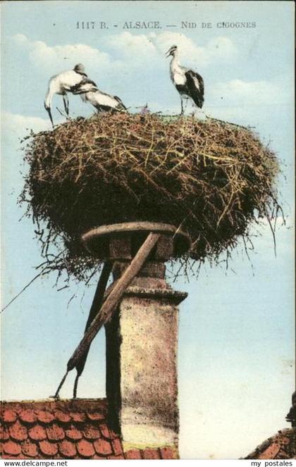Storchsnest Alsace