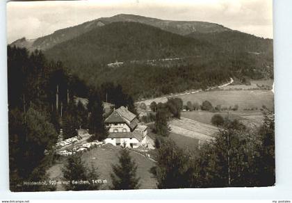 BADENWEILER BW b.Muellheim Badenweiler Haldenhof