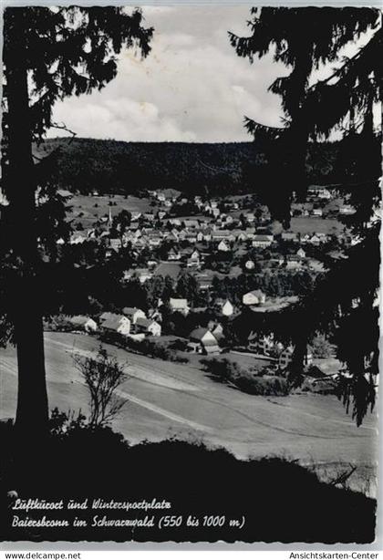 50536242 - Baiersbronn