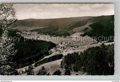 Obertal Baiersbronn Luftaufnahme