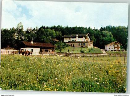 39253687 - Stein a d Traun