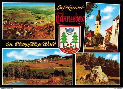 Taennesberg Neustadt Waldnaab Bayern Fliegeraufnahme Kirche Panorama Felsen
