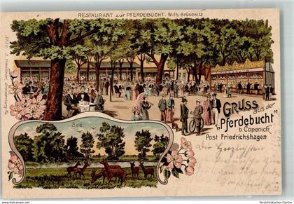 13639764 - Koepenick