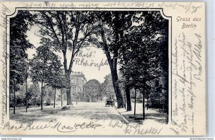 51529856 - Tiergarten