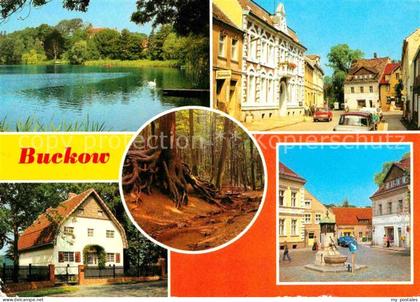 Buckow Berlin Am Buckow-See Wurzelfichte Brecht-Weigel-Haus