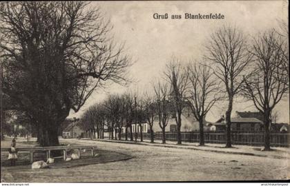 CPA Berlin Pankow Blankenfelde, Straße