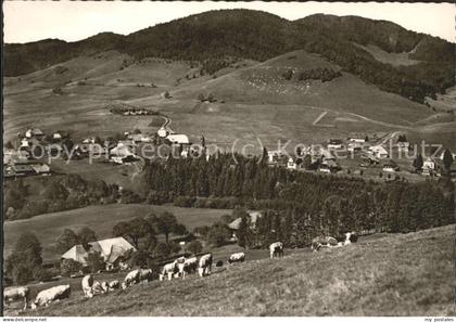 Bernau Schwarzwald ---