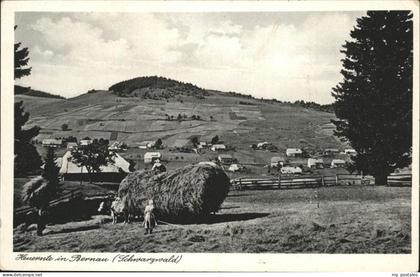Bernau Schwarzwald Heuernte