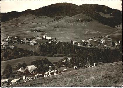 Bernau Schwarzwald Panorama