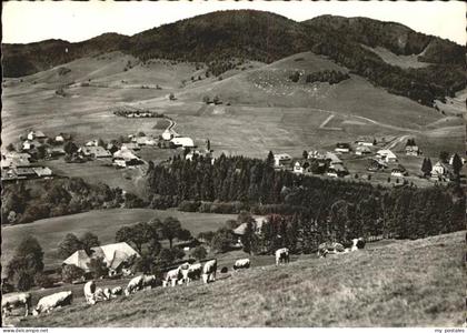 Bernau Schwarzwald Panorama