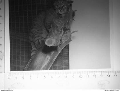 30116486 - Beverungen