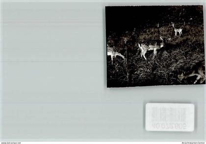 40072805 - Beverungen