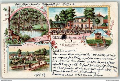 13448259 - Birkenwerder