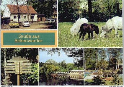 50429801 - Birkenwerder