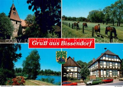 Bissendorf Osnabrueck Teilansichten Pferdekoppel
