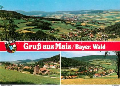 Mais Bodenmais Panorama Ortsansichten