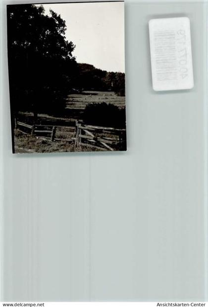 40077179 - Brakel , Westf