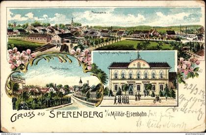 Lithographie Sperenberg am Mellensee Brandenburg, Panorama, Dorfstraße, Gasthof G. Posselt
