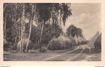 Straupitz Heuschober ngl #187.872