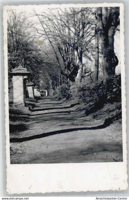 51439432 - Braubach
