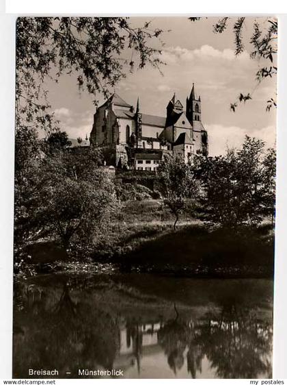 Breisach Rhein Breisach Muenster