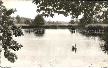 Bremervoerde Muehlenteich