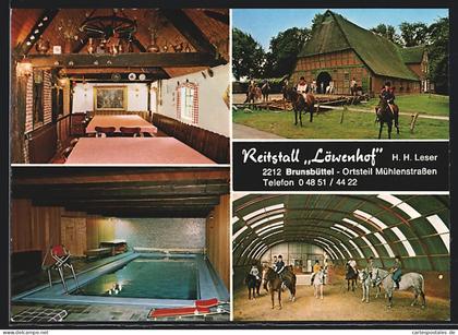 AK Brunsbüttel Ortsteil Mühlenstrassen, Reitstall Löwenhof in vier Ansichten
