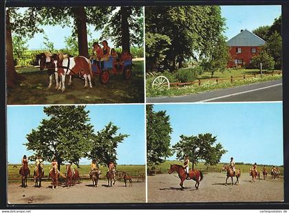 AK Brunsbüttel-Westerbelmhusen, Poy- und Reiterhof R. Krüger