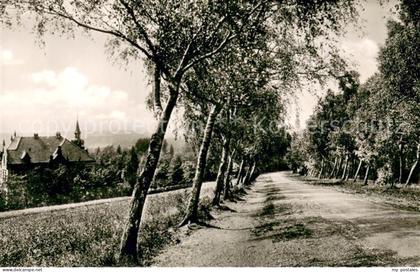 Bueckeburg Waldweg