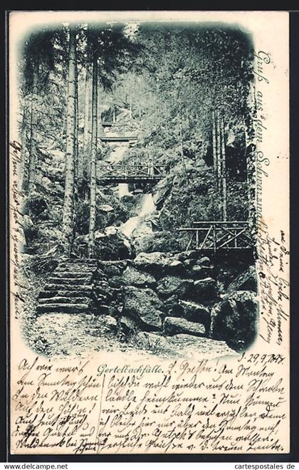 AK Bühlertal /Schwarzwald, Blick auf die Gertelbachfälle