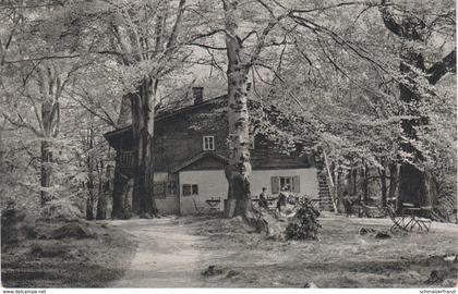 AK Hirschfeld Tierpark Kreis Zwickau Konsum Gaststätte Bärenschenke bei Kirchberg Wilkau Voigtsgrün Ebersbrunn Stenn DDR