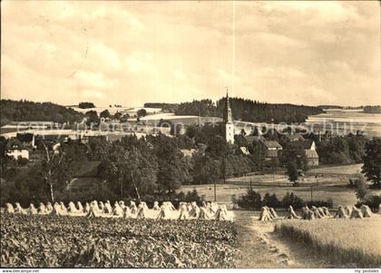 Baerenwalde