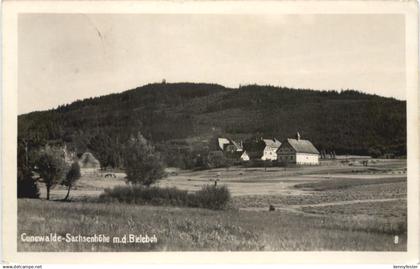 Cunewalde - Sachsenhöhe