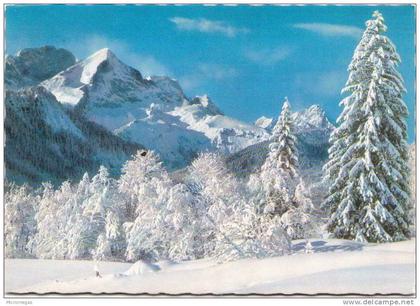 Winterzauber in den Bergen