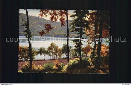 Daun Eifel Gemuendener Maar