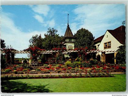 10449065 - Deidesheim