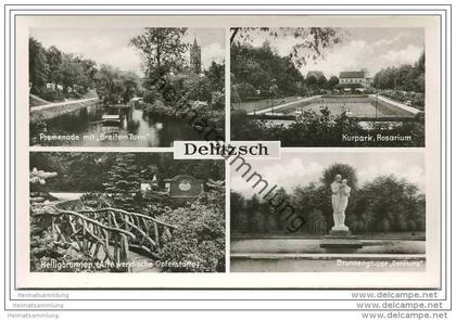 Delitzsch - Promenade - Kurpark - Heiligenbrunnen - Foto-AK
