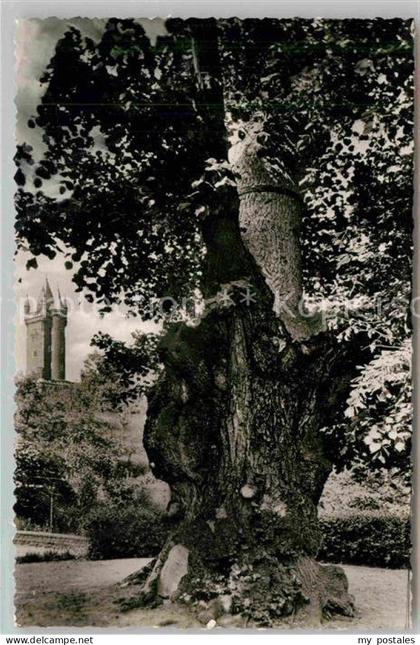 Dillenburg Wilhelmslinde